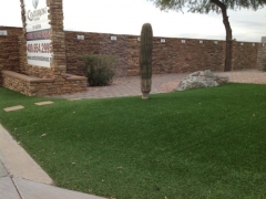 Beautiful 90-oz Tacoma Artificial Grass | Centurion Stone Of Arizona