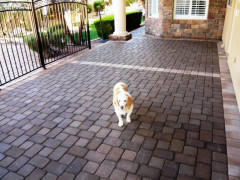 Pima Paver Use For A Patio In 2 Sizes | Centurion Stone Of Arizona