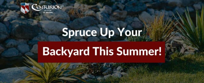 Spruce Up Your Backyard This Summer!