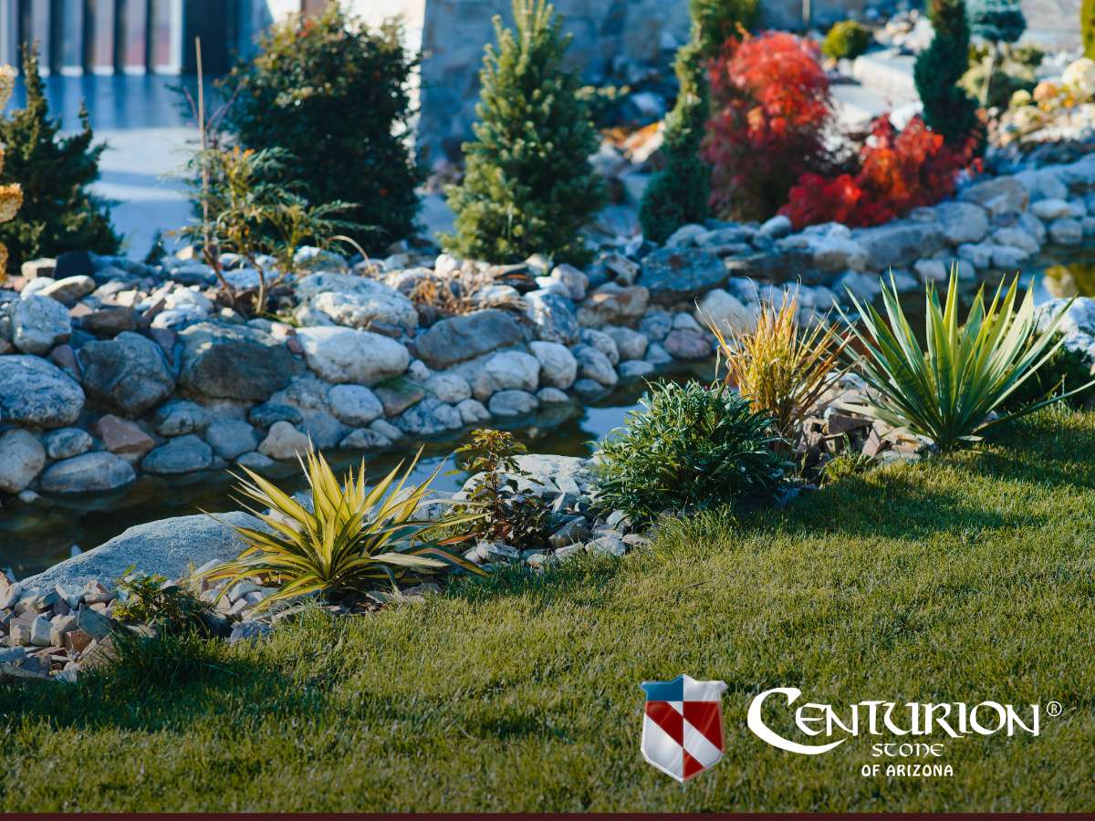 Beautiful landscaping backyard with rocks, plants, and a small water feature